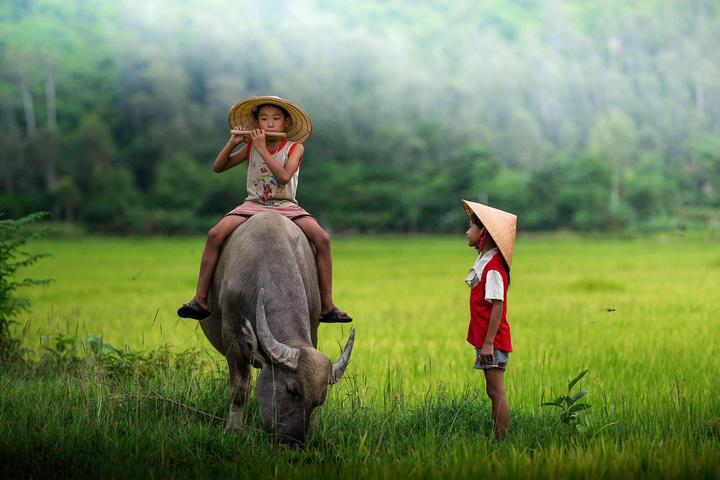 Hotspot Matrix: Biến Phương Oanh diện set đồ 50 thành cơ hội marketing đột phá_video kể về tín hiệu