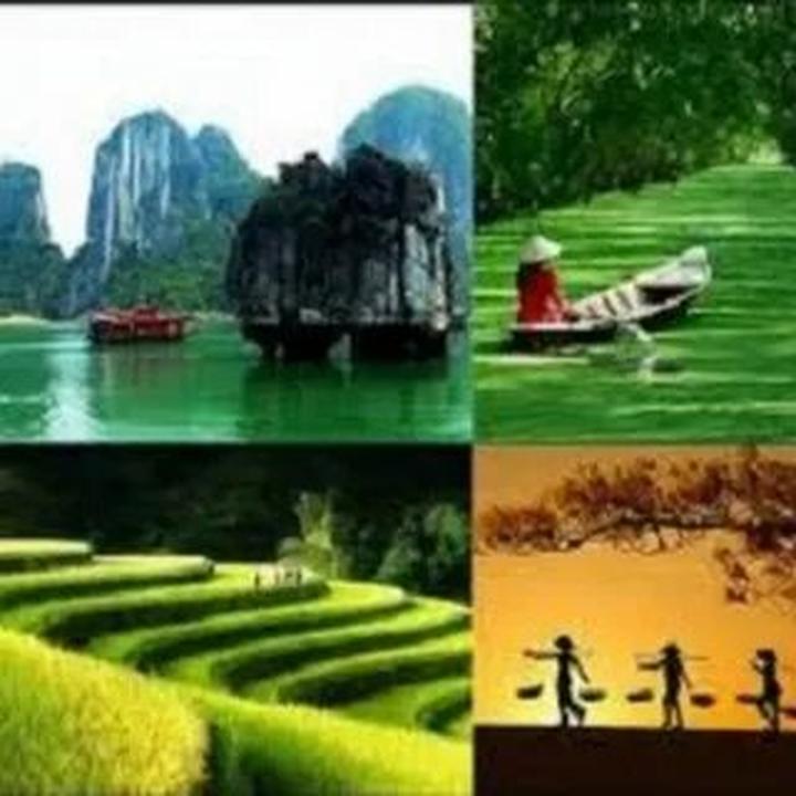 Xu hướng Hết Hà Tăng, tới dàn 