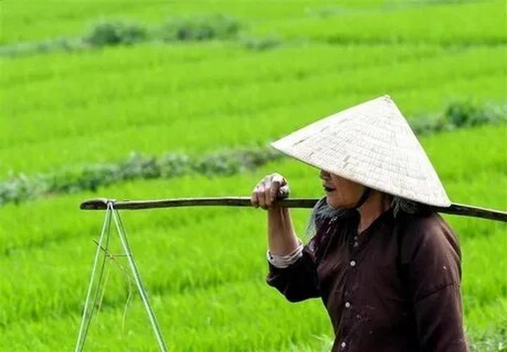 Xu hướng Hé lộ hậu trường siêu nhạc: Hotspot Matrix tiết lộ bí quyết video viral_Thiết kế