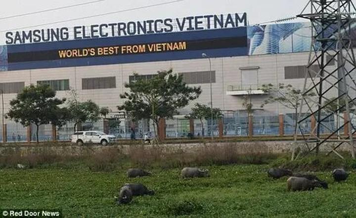 Hotspot Matrix và Chương trình “Trăng đêm thứ 7” và mục tiêu không để bất kỳ ai phải ngủ_Tuyển dụng tiếp thị kỹ thuật số